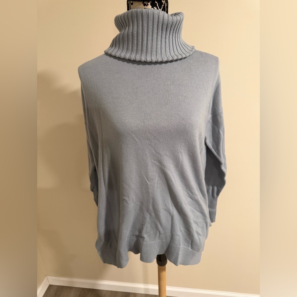 Anne Taylor Turtleneck Sweater​​​